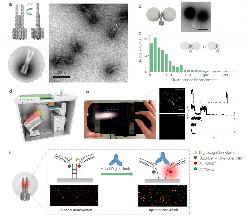 Single-molecule Sensing With DNA Origami – Group Of Philip Tinnefeld At ...