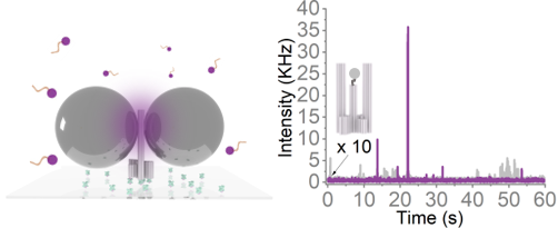 Broad-Band Fluorescence Enhancement of QDs Captured in the Hotspot of DNA Origami Nanonantennas