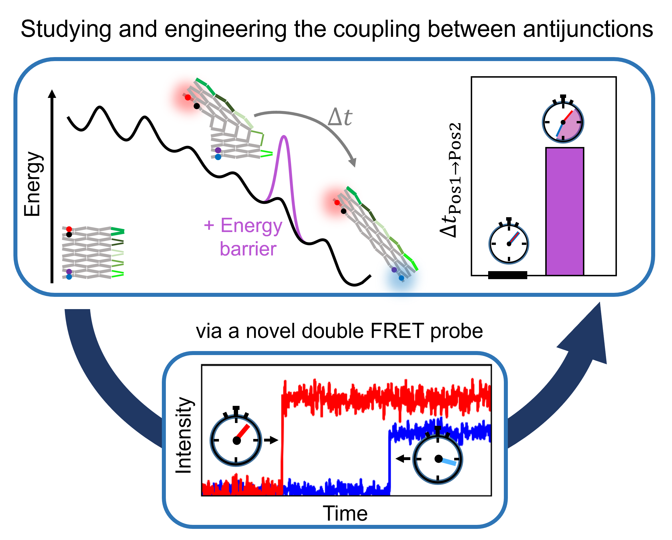 Controlled mechanochemical coupling of anti-junctions in DNA origami arrays